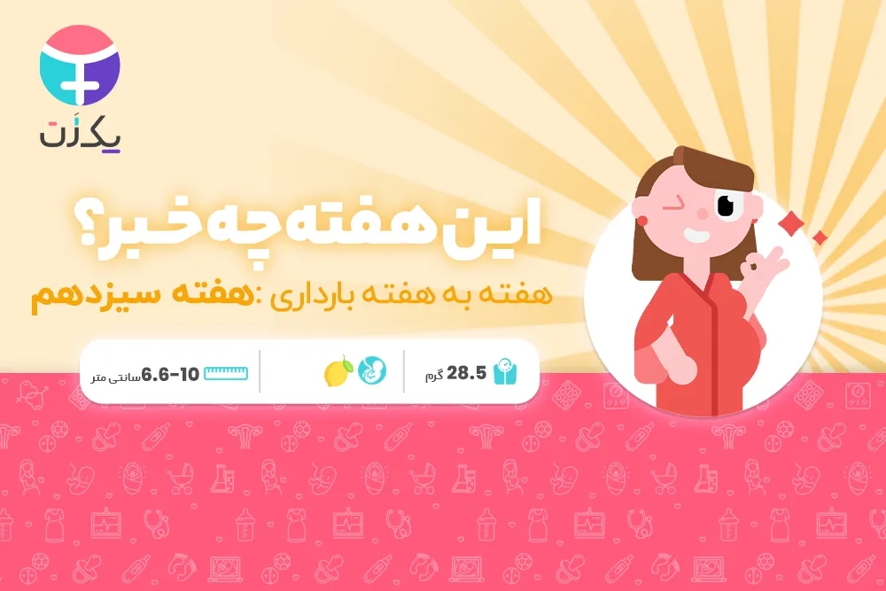 هفته سیزدهم بارداری