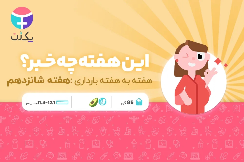 هفته شانزدهم بارداری
