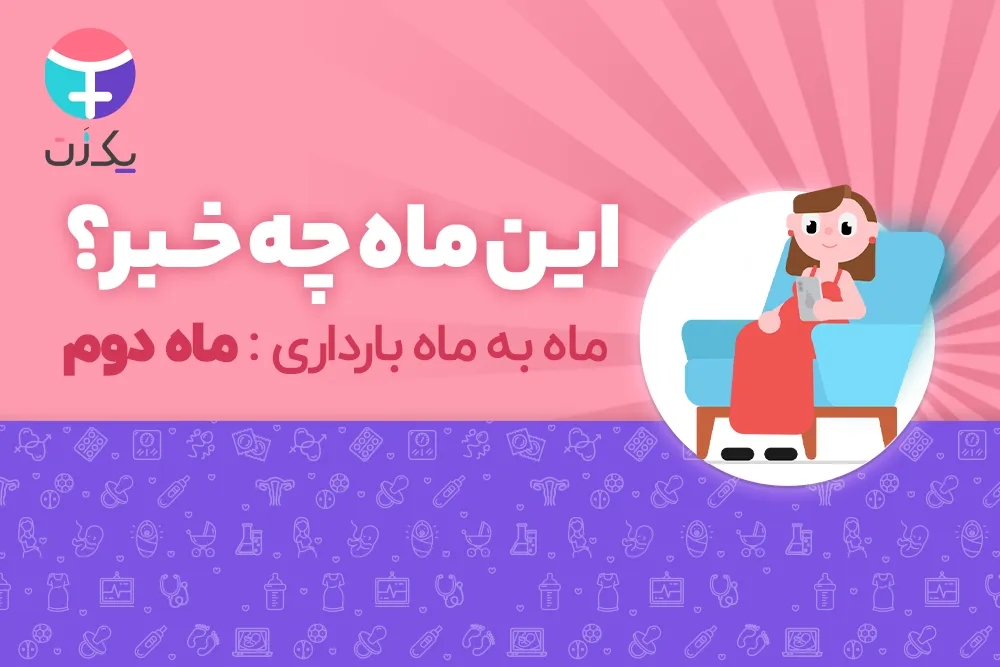 ماه دوم بارداری