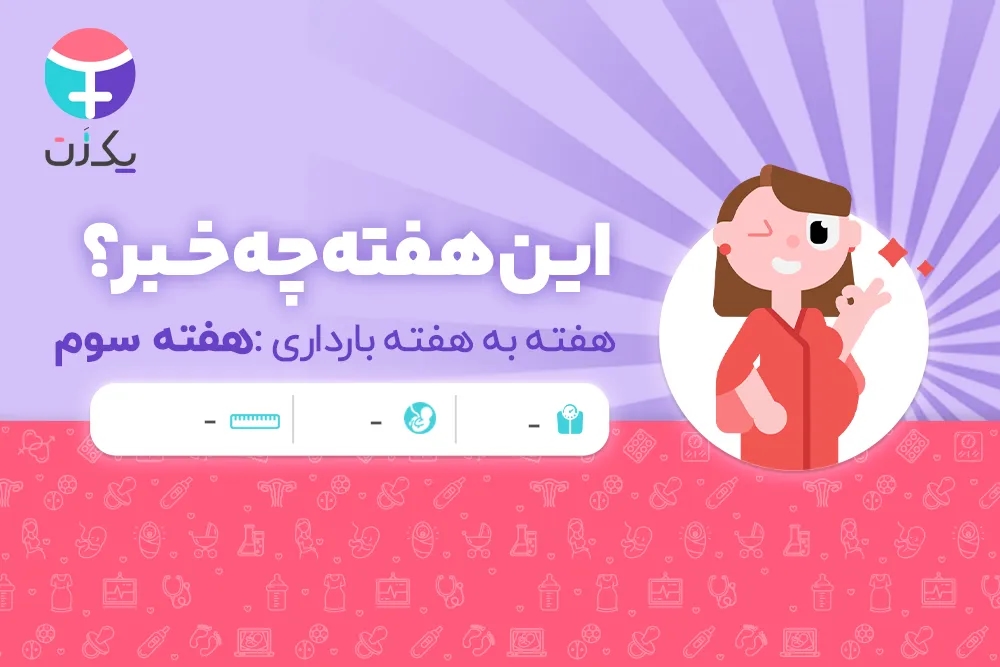 هفته سوم بارداری