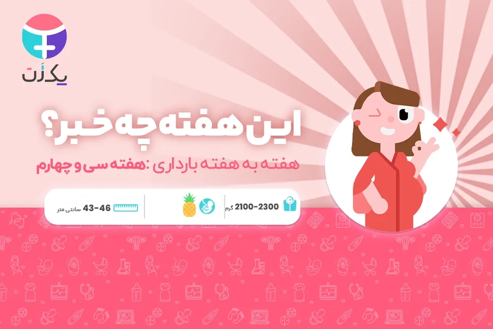هفته سی و چهارم بارداری