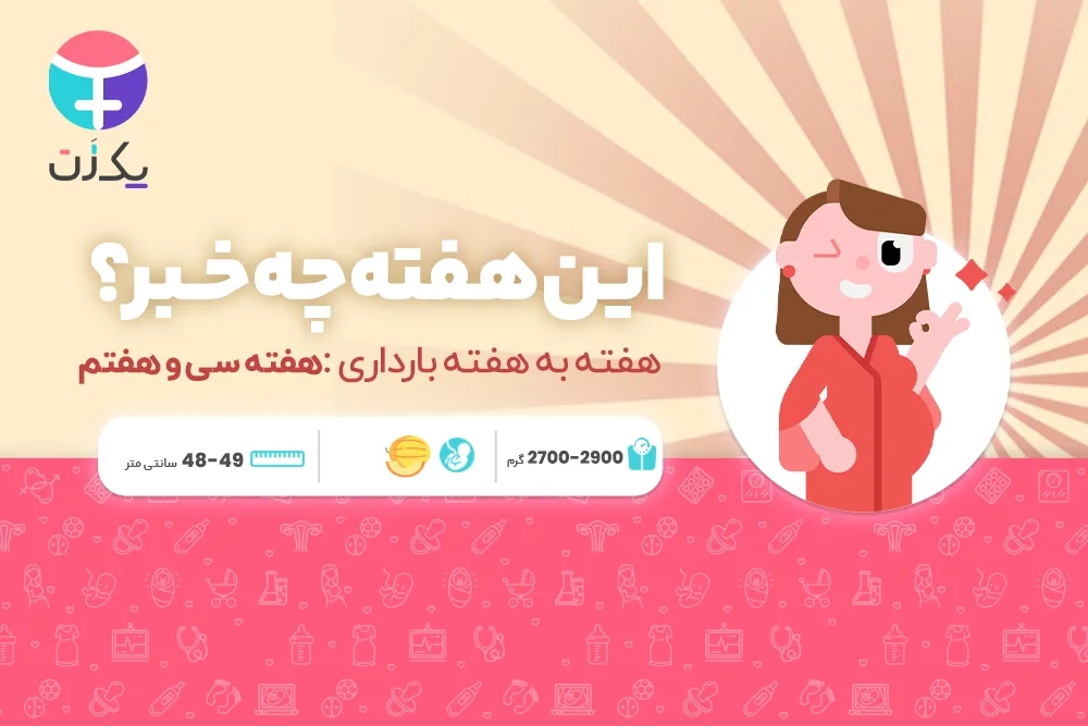 هفته سی و هفتم بارداری