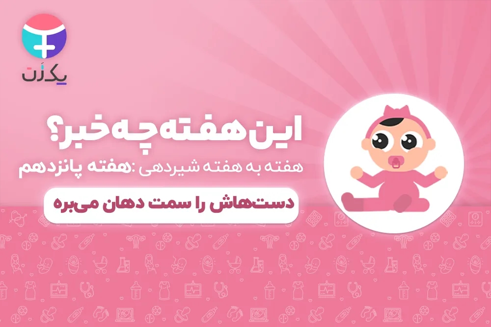 هفته پانزدهم رشد نوزاد و شیرخوار