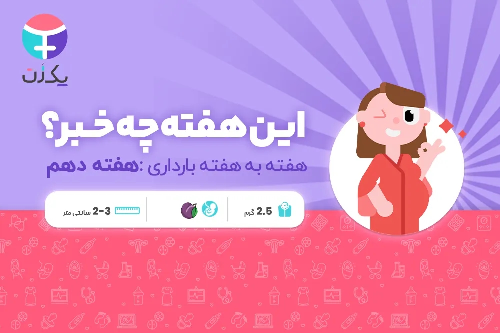 هفته دهم بارداری