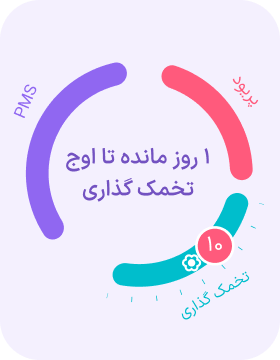 تقویم قاعدگی
