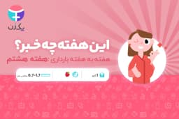 هفته هشتم بارداری