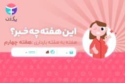 هفته چهارم بارداری