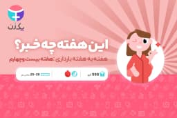 هفته بیست و چهارم بارداری