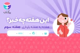هفته سوم بارداری
