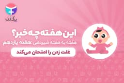 هفته یازدهم رشد نوزاد و شیرخوار