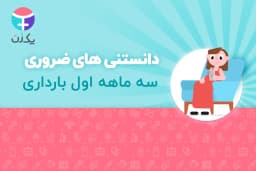 سه ماه اول بارداری