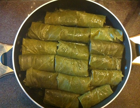 طرز تهیه دلمه برگ مو برای 6 نفر