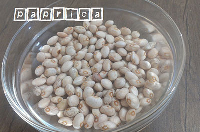 مواد خورشت قورمه سبزی